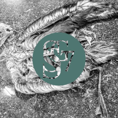 Sg.7 : Artificial Heart